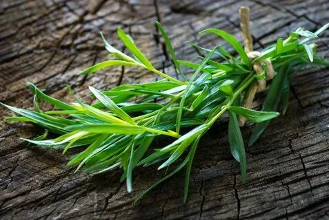تصویر 3 از قیمت شگفت انگیز سبزی ترخون خشک + فروش استثنایی